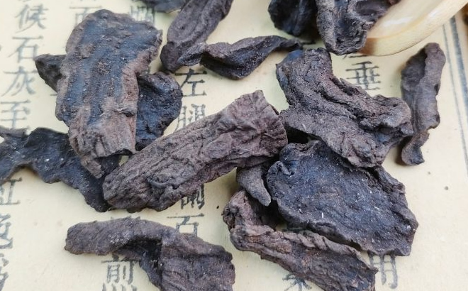 草烏與制草烏，異同之中顯真章