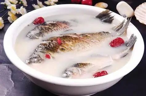 鯽魚：水中之珍，中醫(yī)之寶
